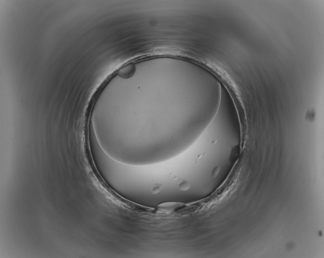 X0000097660941200803142129