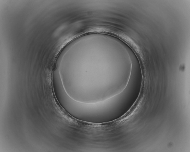 X0000097660945200803142129