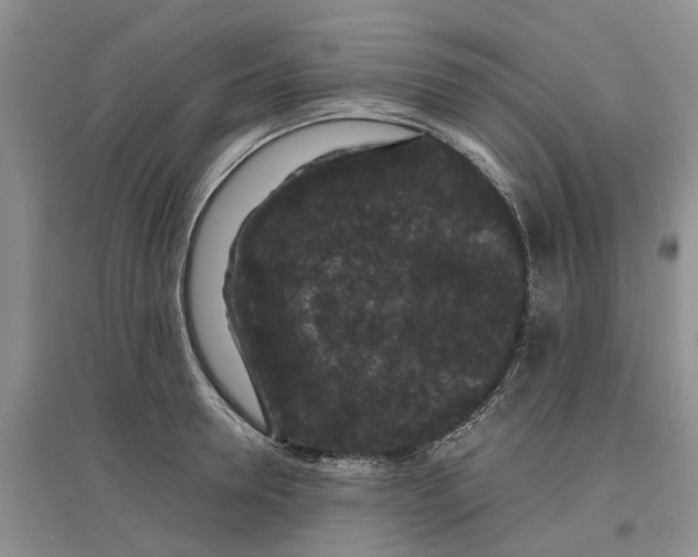 X0000097660946200803142129