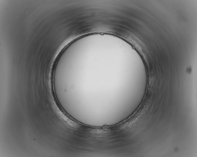 X0000097660947200803142129
