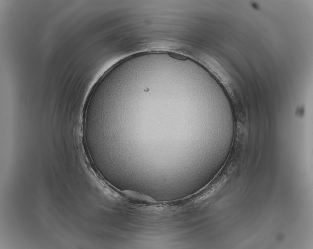 X0000097660948200803142129