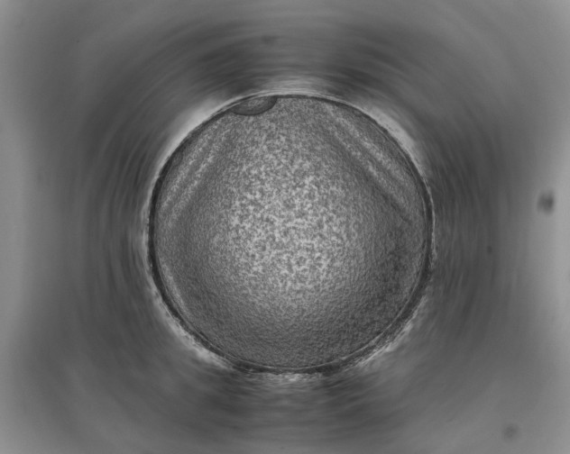 X0000097660949200803142129