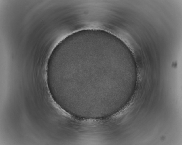 X0000097660950200803142129