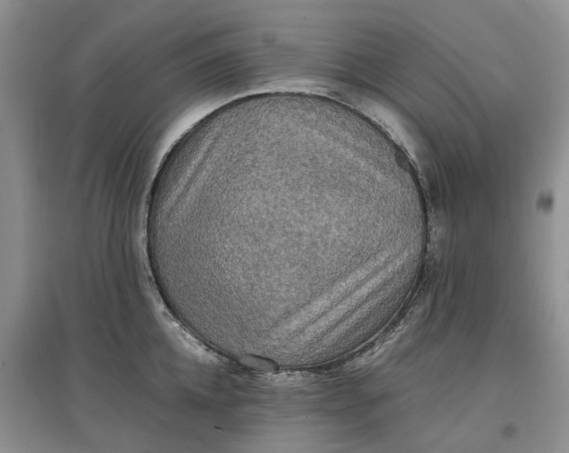 X0000097660952200803142129
