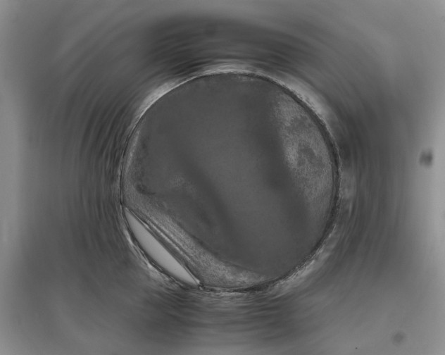 X0000097660953200803142129
