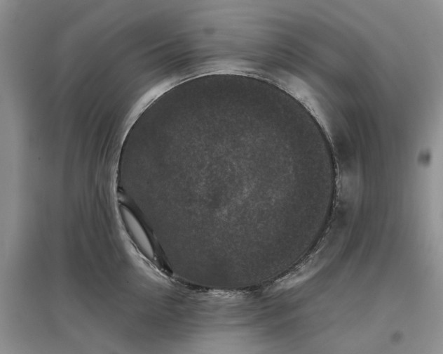 X0000097660954200803142129