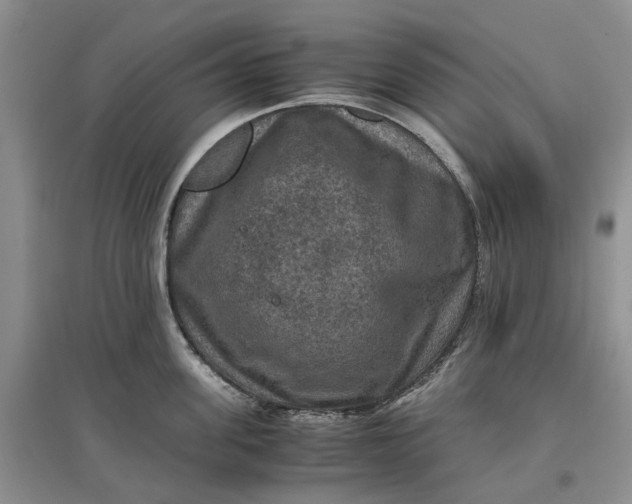 X0000097660955200803142129