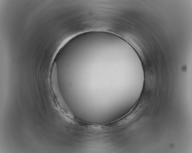 X0000097660956200803142129