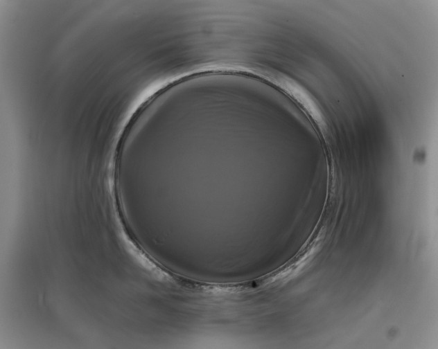 X0000097660958200803142129