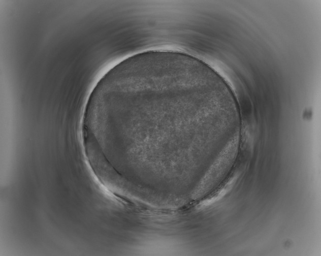 X0000097660959200803142129