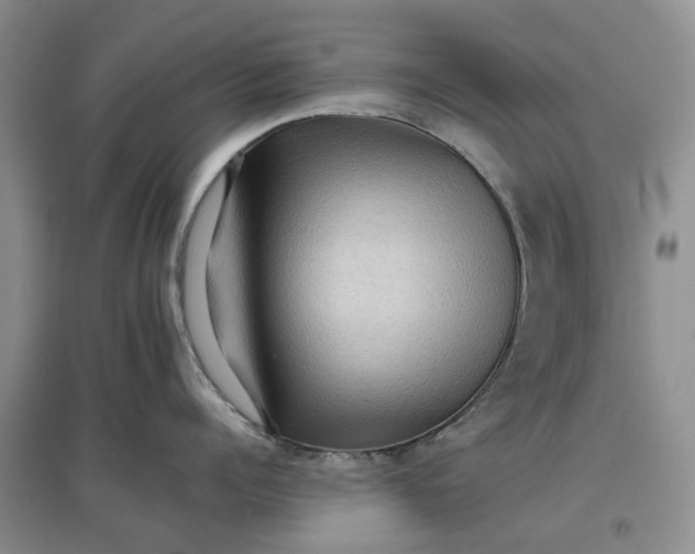 X0000097660960200803142129