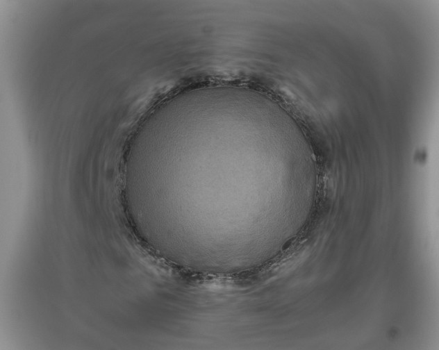 X0000097660961200803142129