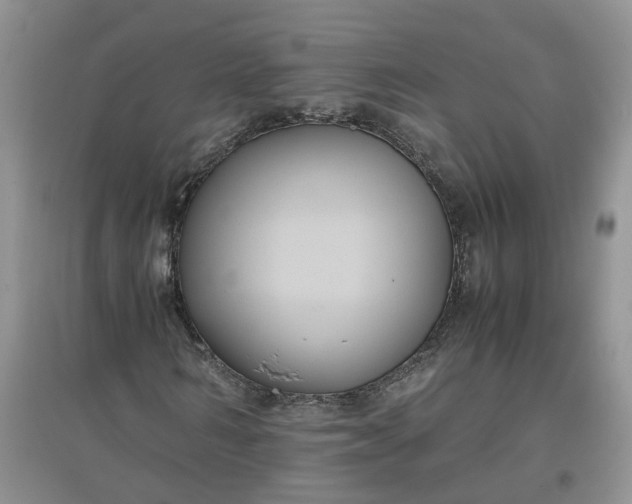 X0000097660962200803142129