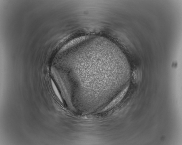 X0000097660963200803142129