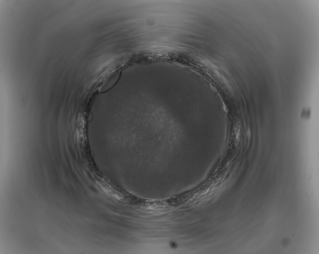 X0000097660964200803142129