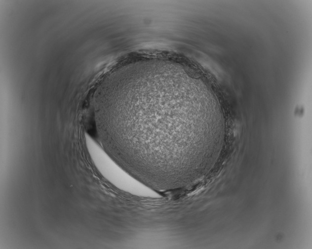 X0000097660965200803142129
