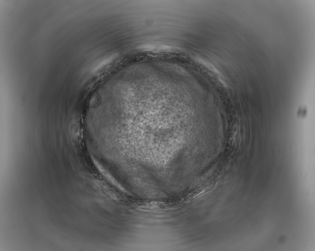 X0000097660966200803142129