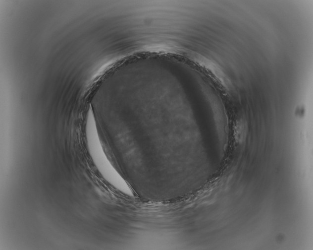 X0000097660968200803142129