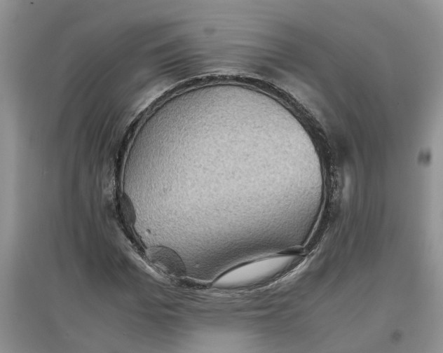 X0000097660969200803142129