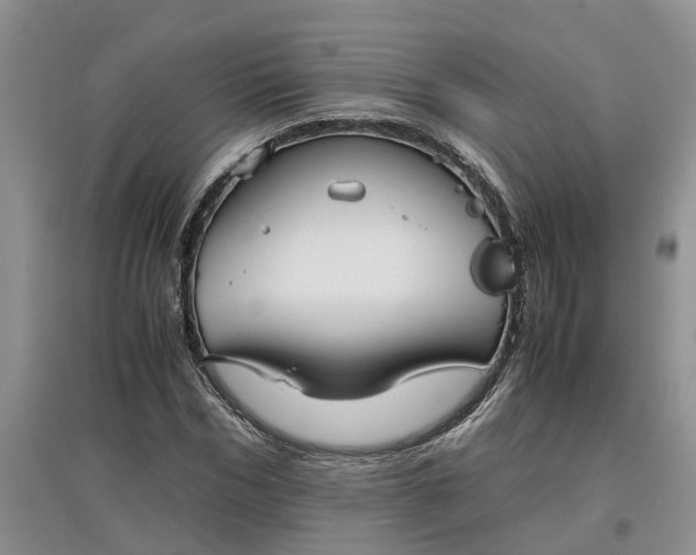X0000097660970200803142129