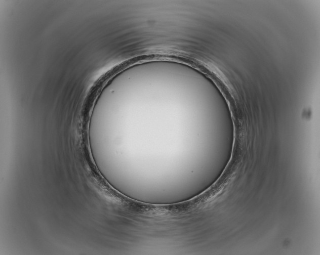 X0000097660971200803142129