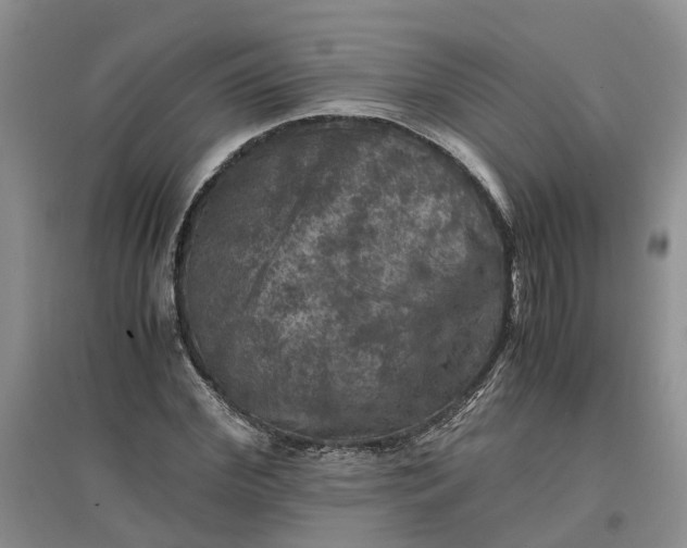 X0000097660972200803142128