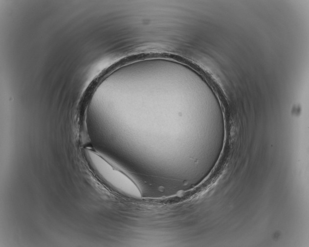 X0000097660973200803142128