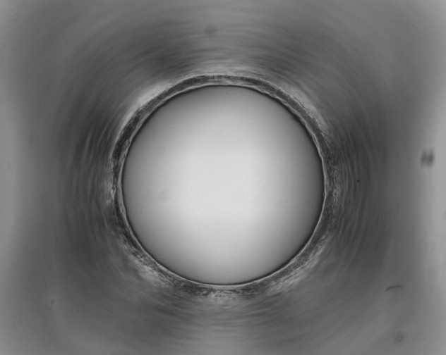 X0000097660974200803142128