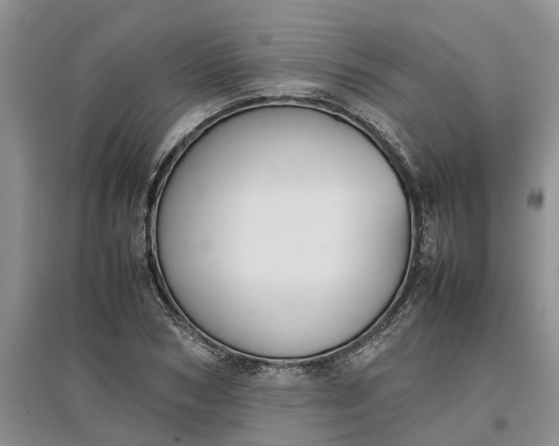 X0000097660978200803142128