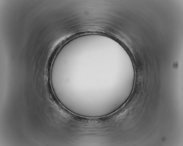 X0000097660979200803142128