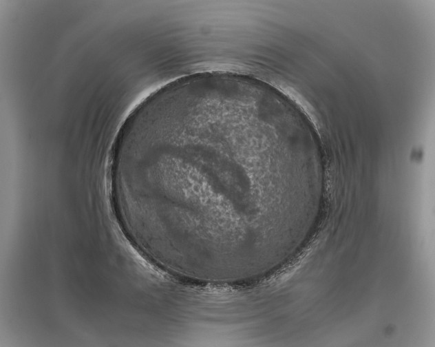 X0000097660983200803142128