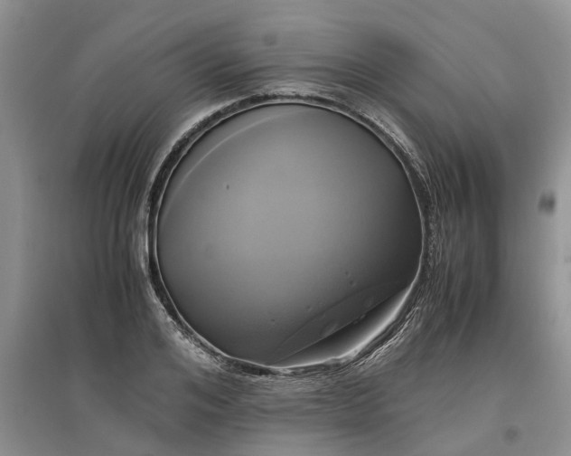 X0000097660984200803142128