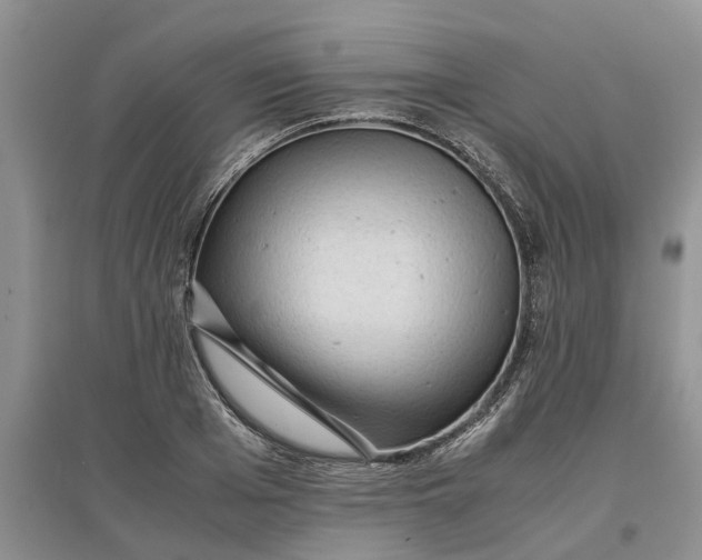 X0000097660985200803142128