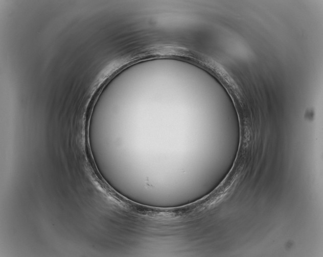 X0000097660986200803142128