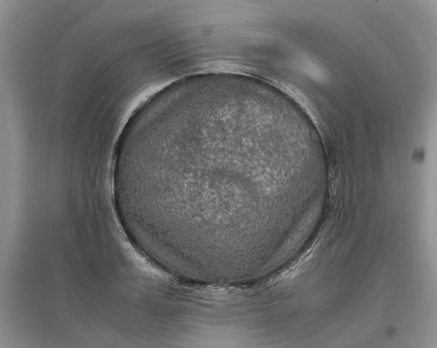 X0000097660987200803142128