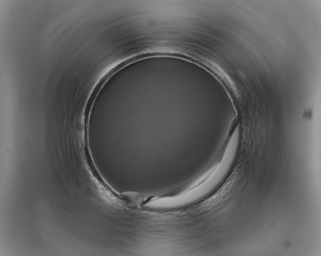 X0000097660988200803142128