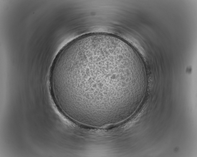 X0000097660991200803142128