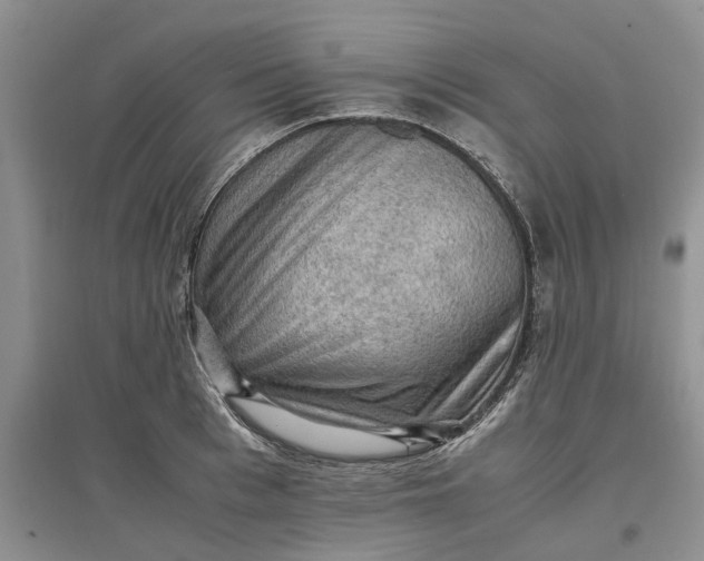 X0000097660993200803142128