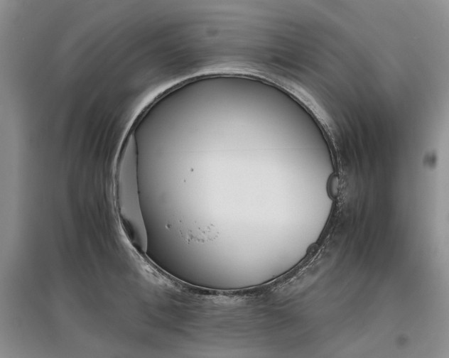 X0000097660996200803142128