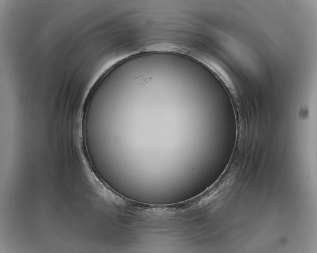 X0000097661000200803142128