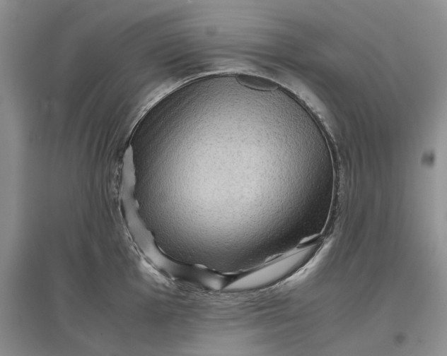 X0000097661001200803142128