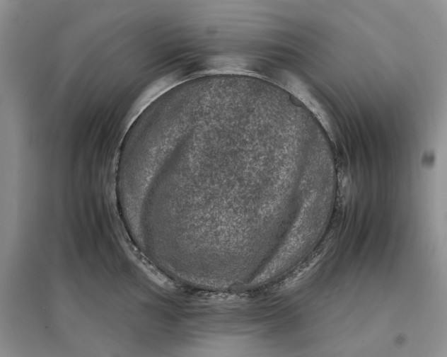 X0000097661002200803142128