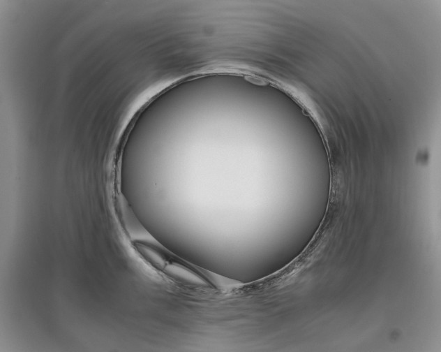 X0000097661003200803142128