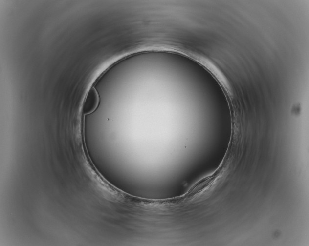 X0000097661004200803142128