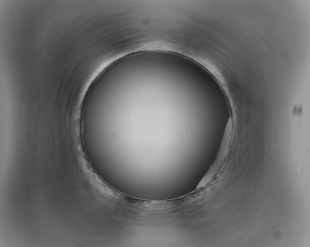 X0000097661008200803142128