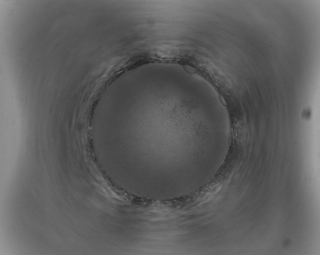X0000097661009200803142127