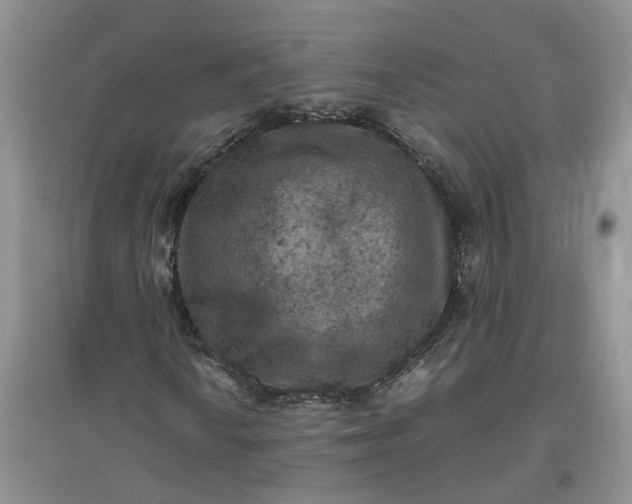 X0000097661010200803142127