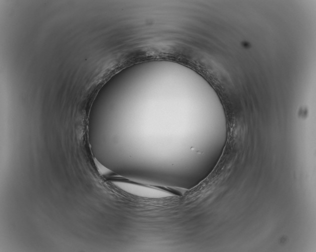 X0000097661012200803142127