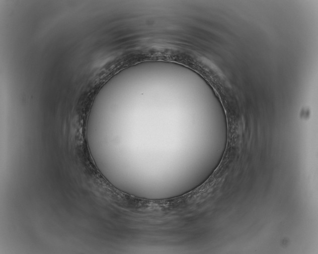 X0000097661013200803142127