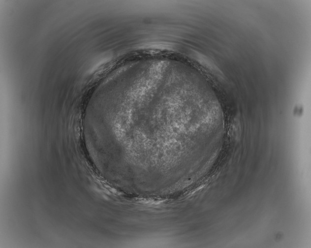 X0000097661014200803142127